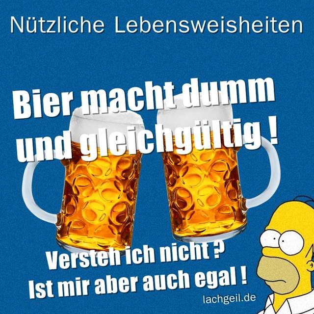 Download Dumme lebensweisheiten For iPhone