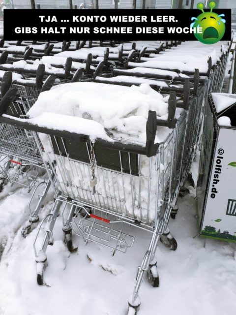 schnee im einkaufswagen vor lidl copyright by lolfish es gibt diese woche nur schnee zu essen